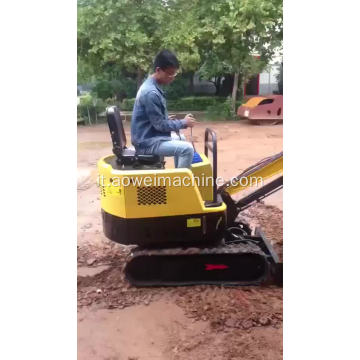 Mini escavatore cingolato con motore EPA